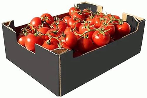 Fresh Vine Tomatoes Box I 5KG to 6KG Approx I Packaging may vary