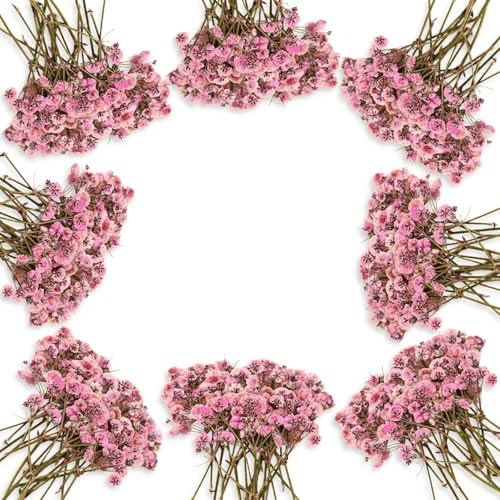 JULBEAR Schleierkraut Getrocknet, 100 Stück Getrocknete Blumen Deko Rosa Trockenblumen zum Basteln Künstlich Trockenblumen Schleierkraut Natürlichen Gepresste Blumen für Kerzen Harz Anhänger Deko