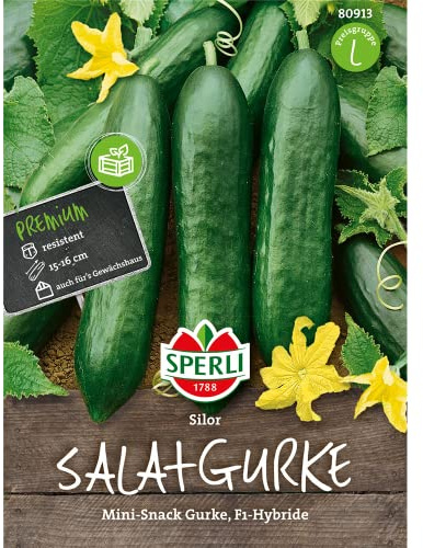 Sperli Snackgurkensamen Silor, F1 80913 – saftige, bitterfreie Früchte, reinweiblich - Inhalt für 4 Pflanzen - Gemüsesamen, Samen Gemüse, Gemüsepflanzen
