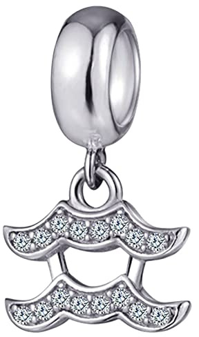 CRISNATA 12 Sternzeichen Sternbild Anhänger Charms mit klarem CZ, 925 Sterling Silber Horoskop Perlen, passend für Europäisches Geburtstagsarmband, Geschenke für Mutter/Ehefrau/Freunde
