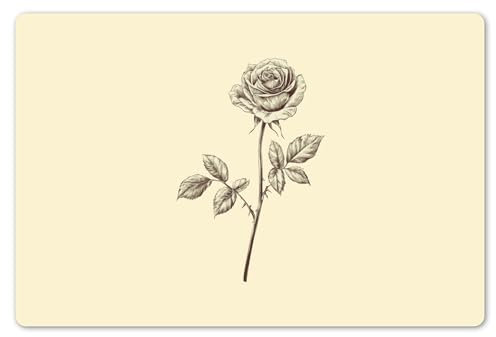 KitchenYeah© Placemats para Mesa Comedor Set 6 45x30 cm Manteles Individuales Lavables PVC Antideslizantes Estilo Elegante Ilustración - Negro - Rosa