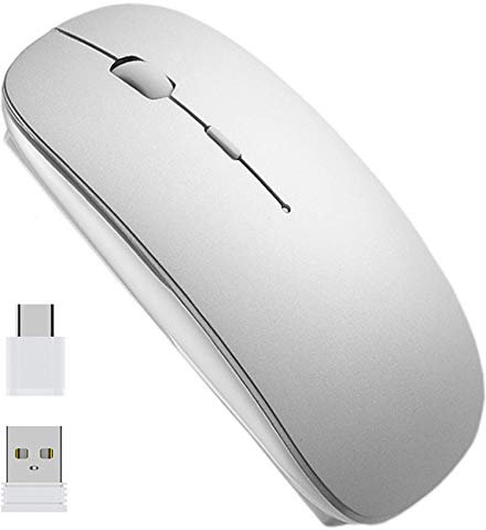 EasyULT Wireless Mouse, 2.4GHz with USB Mini Receiver & USB-C Receiver, Rechargeable Noiseless Mini Mouse, 1600 DPI Adjustable, or Laptop, PC, Computer, Desktop,Notebook,Macbook,Chromebook-Silver