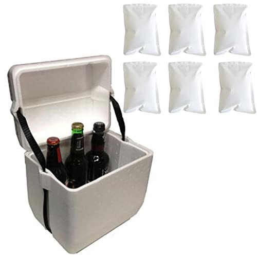 6L Polystyrene styrofoam Foam Cooler Box icebox 6-Bottle Size and 6 Reusable ice Gel Packs