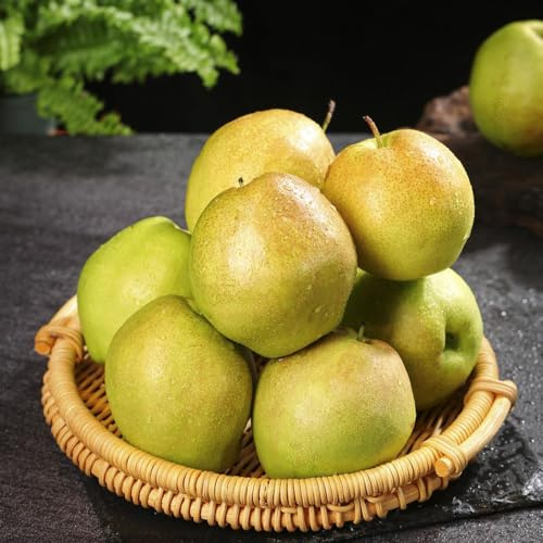 comprar semillas de peral, exóticas, perenne resistente que cubre el suelo, Balcón, 300pcs