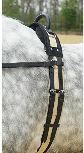 Longiergurt mit Handgriff