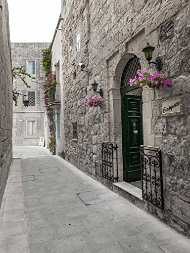 Feeling at home LEINWANDDRUCK im SCHATTENFUGENRAHMEN Traditionelle Häuser auf schmalen Bahnen von Mdina, Malta Frank Assaf - Jahrgang vertikale Kunstbilder im Holzrahmen cm_91_X_68
