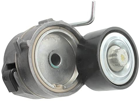 SKF Galet tendeur (courroie trapézoïdale à nervures) VKM33208 | Compatible avec: CITROËN BERLINGO, BERLINGO Kasten/Großraumlimousine, BERLINGO Kasten/Großraumlimousine, BERLINGO MULTISPACE