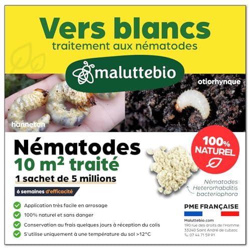 Nématodes HB contre les Vers Blancs (5M) pour 10 m² – Produit naturel et 100% efficace pour éliminer les vers blancs et les hannetons et otiorhynques du jardin, pelouses et plantes