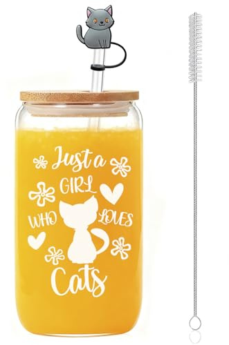 Geschenk Katzenliebhaber für Frauen Männer, Fancy Gläser mit katzenmotiven, 16oz Trinkbecher mit Deckel, To Go Becher Durchsichtig mit Glass Straw, Straw Brush & Strohhalmdeckel-Milchshake Cup