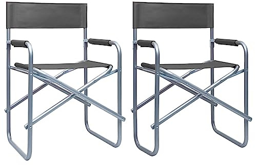 SooIarix Set di 2 sedie da regista, pieghevoli, in acciaio grigio, resistenti alle intemperie, sedie da giardino pieghevoli per campeggio, balcone, terrazza, portata massima 110 kg