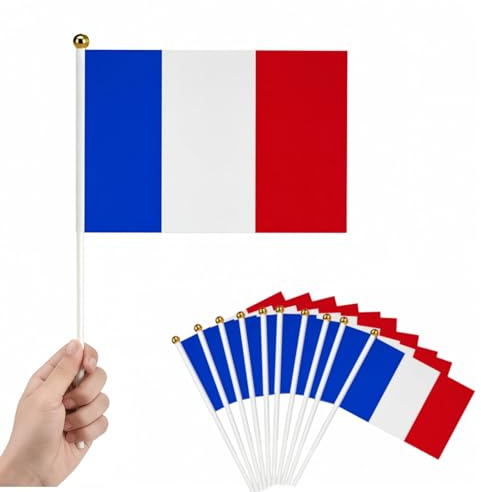 Lot De 10 Petit Drapeau Francais,LERKNVOE Mini Drapeau Français Avec Tige,Drapeaux à Main,Pour Fête Nationale, Matchs de Foot, Coupe du Monde, Décoratifs d'Extérieur