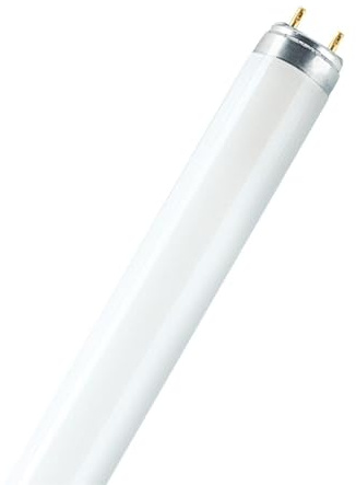 WatioWave Tube fluorescent T8 36 W 6 500 K 1200 mm, idéal pour l'éclairage commercial et domestique, fournit une lumière blanche froide et efficace.