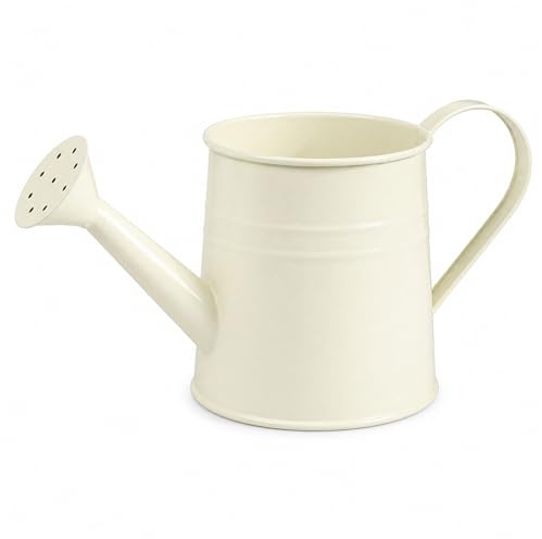 Regadera de metal blanco, regadera de metal de 1 litro con boquilla larga y cabezal de aspersor para plantas de interior y exterior, flores, césped y jardín (blanco)