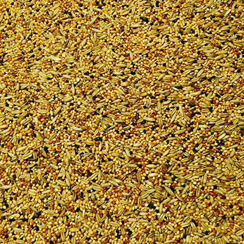 SkyGold Budgie Tonic 12.5Kg Cage and Aviary Food