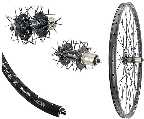 Hinterrad 28 Zoll Disc 19-622 Industrielager 8-10 Fach | Bärwinkels 6 Loch, Hohlkammerfelge, schwarz MTB
