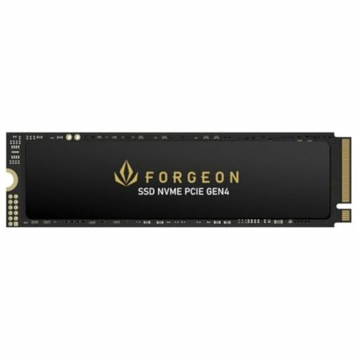 Forgeon Festplatte 4 TB SSD