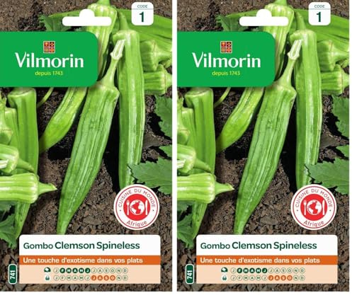 Vilmorin - Gombo Clems spineless - Saveur Venue d'Afrique Proche de l'aubergine- légume ou Condiment - Forme Pointue et hexagonale (Lot de 2)