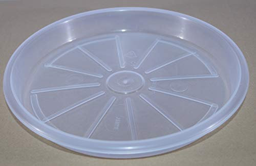 Idel sottovaso Terme 17 Trasparente (1, 19 CM)