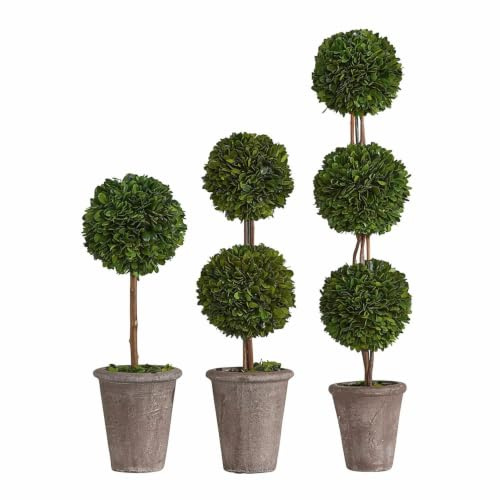 Loberon Dunjes Lot de 3 Arbres décoratifs - Véritable buis conservé - dans Un Pot en Terre Cuite, Vert