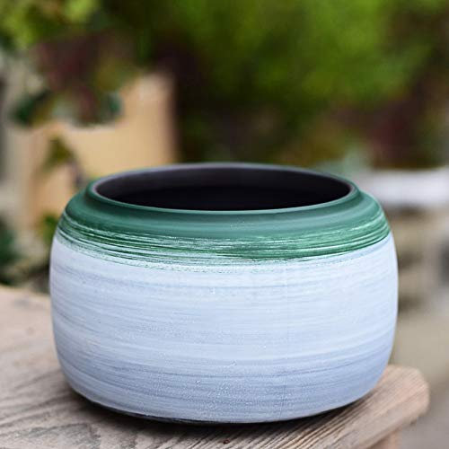 GImLY Sukkulententopf mit Loch Sukkulenten Mikrogarten Hochzeit Mini-Blumentöpfe Runde saftige Pflanzen Blumentöpfe Tabletts Behälter Kleiner Bonsai-Topf Blumenpflanzer (Color : Style 1)