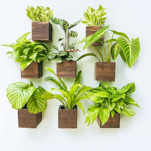LaLaGreen Pflanzkästen aus Holz für Pflanzen (10,2 x 10,2 cm, 8 Stück), kleine quadratische Wand-Pflanzgefäße für Zimmerpflanzen, Kräuter-Holzkiste, hängender Blumentopf, Pflanzenhalter, Außenzaun