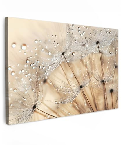 MuchoWow© Cuadros Decoracion Salon Modernos Dormitorios Cuadro Decorativos | 90x60 cm - de Lienzos Decorativo Decoración Cabecero Cama Diente León - Abstracto - Naturaleza - Beige