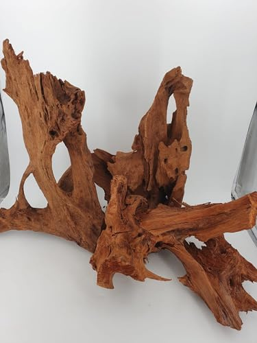 SAHAWA Mangrovenwurzel Traumwurzel 1 STK Naturdeko garantiert 30 cm