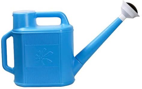 HUANGING Annaffiatoio da 10 litri con manico comodo, piccolo beccuccio lungo da giardino, per interni ed esterni, ugello staccabile, vaso per irrigazione da giardino