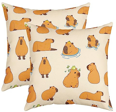 Capybara Throw Pillow Covers 16x16 Set of 2 Soft Kids Cartoon Animal Decorative Throw PillowCases for Sofa Kawaii Capybara Frog Pillow Cases Cushion Covers Cute Cushion Cases Room Decor Yellow