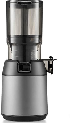 Juicer, Whole Fruits Cold Press Juicer Machines, 130mm Powerful Wide Mouth Slow Masticating Juicer with Large Feed Chute for Vegetables and Fruits, Easy to Clean,Grey