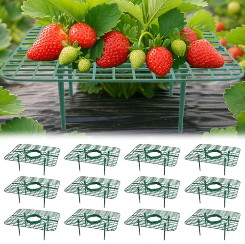 AONYIYI 12 unidades cuadradas para fresas y fresas