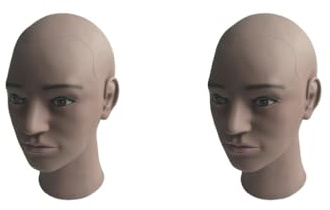 Juego de 2 cabezales de maniquí femeninos para exhibición de pelo de auriculares en el hogar