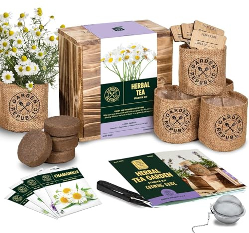 Indoor Herb Garden Seed Starter Kit - Herbal Tea Growing Kits, Grow Medicinal Herbs Indoors, Seeds for Planting, Soil, Plant Markers, Pots, Infuser, Planter Box, Gardening Gifts for Women