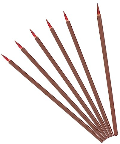 Parliky Set 6 Pennelli per Calligrafia Cinese in Legno senza Perdita di Pelo Buona Assorbenza D'inchiostro per Acquerelli e Regalo per Principianti