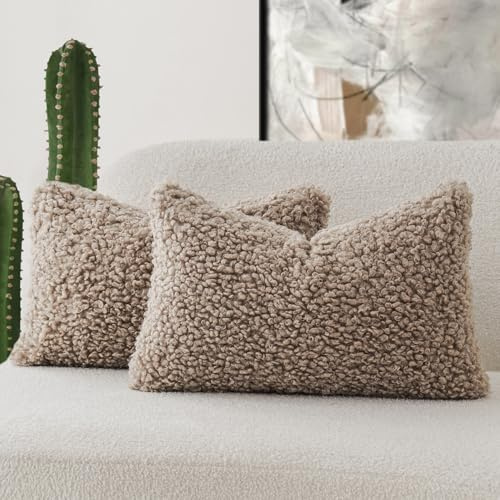 Foindtower Set of 2 Curly Teddy Wool Pillow Covers Decorative Boucle Textured Lumbar Throw Pillow Faux Fur Pillowcases Sheepskin Cushion Case for Sofa Bedroom Car 12x20 Khaki