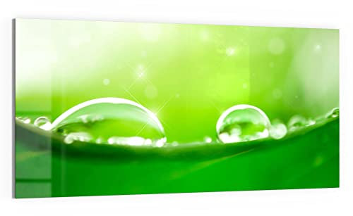 DEQORI Glas-Magnettafel | 100x50 cm groß | Motiv Tautropfen auf Blatt | Memo-Board aus Glas | Magnetboard inkl. Magnete, Stift & Tuch für Küche & Büro | Tafel magnetisch & beschreibbar