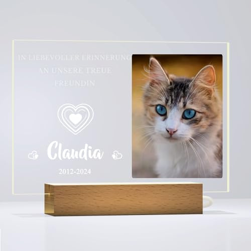 Dr Custom Personalisierte Katzen-Gedenktafel, Grabstein mit Gravur, Tier-Erinnerungsgeschenk, Foto-Nachtlicht für Haustier-Trauerfeier