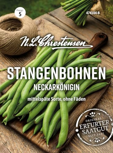 Stangenbohnen Neckarkönigin, ohne Fäden