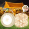 Dealswin Catena luminosa da campeggio, arrotolabile, per esterni, con 6 modalità di illuminazione, ricarica USB, 10 m, portatile, impermeabile, per campeggio, giardino, decorazione (Beige)