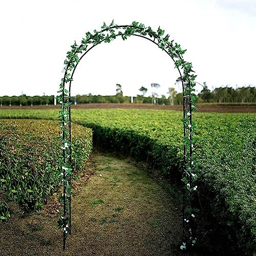 Arche Jardin Aluminium Largeur, Arche À Rosiers Métal, Filet À Plantes Grimpantes, Filet de Treillis, pour Récolte de Concombres, Légume, Vignes, Plantes Grimpantes,350x220x40CM