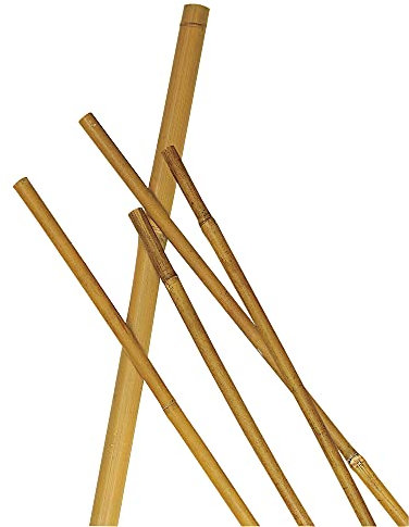 VERDELOOK Cannetta in bamboo naturale, altezza 90 cm, diametro 8/10 mm, sostegno piante giardino