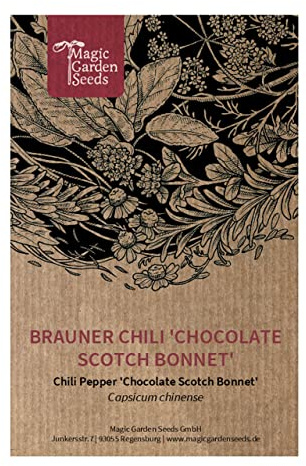 Chile 'Chocolate Scotch Bonnet' (Capsicum chinense) - aprox. 10 semillas