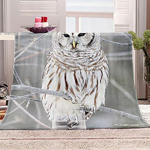 YTHSFQ Flanelldecke Fleecedecke Weiße Eule Super Soft 3D Drucken Kuscheldecke Warm Flauschige Mikrofaser Kuscheldecke Sofadecke 150x200 cm