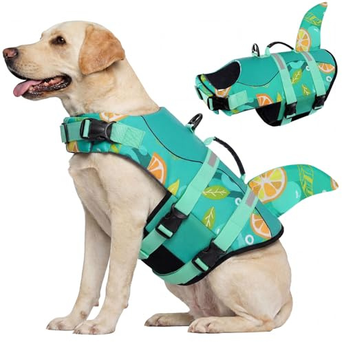 CITÉTOILE Flytväst hund haj, flytväst för små stora hundar, hundflytväst med hajfena, haj-hundliv jacka med bra flytkraft och reflekterande, lätt och säker för vattensport, XL