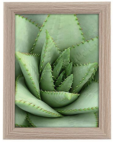 goldbuch 92 0754 Bilderrahmen Toscana aus Holz, Fotorahmen für Bild im 15x20 cm Format, Portraitrahmen mit Aufsteller & Wandhalterung, Einzelrahmen aus MDF, Foto Rahmen, Taupe