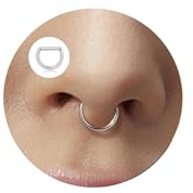 Lantine Nasenpiercing Ring 16g Septum Piercing Chirurgenstahl Daith Conch Piercing Nasenring Gold Silber Schwarz Segmentring Clicker Spetum Rings Helix Tragus Rook Piercings Ohr 6/8/10mm