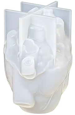 in silicone a forma di cuore con organo – Stampo 3D per realizzare a forma di cuore | stampo in gesso | per resina artigianale sapone cioccolato casa fattoria vacanze feste familiari