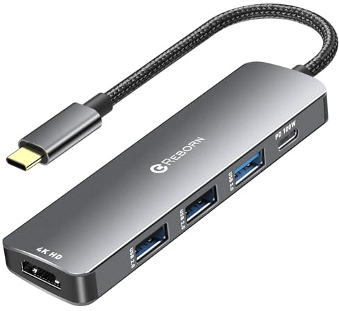 Reborn USB C Hub 5-in-1 for MacBook Pro/Air, 4K HDMI Multiport Adapter with 100W Power Delivery, 3*USB A Data Ports, USBC Dongle for Dell, HP, ASUS, Acer and Other Type C Laptops