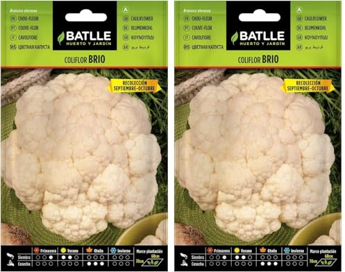 Semillas Batlle Coliflor Brio Sel.URGELBA (Sep-Oct) (Paquete de 2)