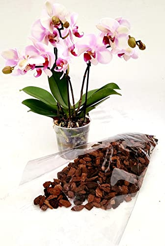 POWERS TO FLOWERS - TERRA PER ORCHIDEE, TERRA PROFESSIONALE